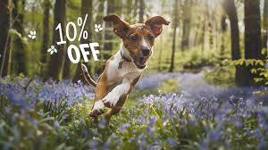 Pets Discount Coupon